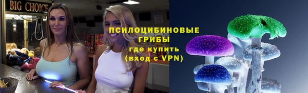 винт Няндома