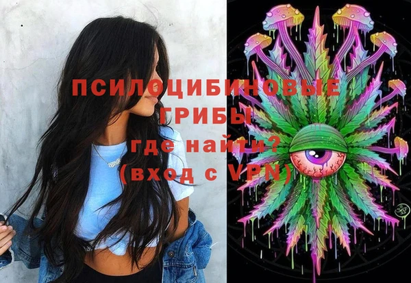 винт Няндома