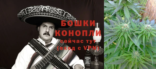 индика Абаза