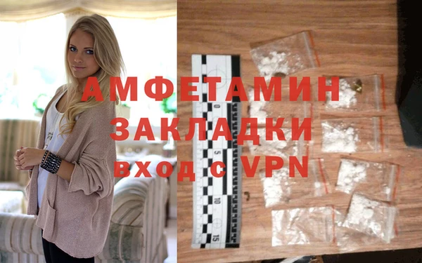 индика Абаза